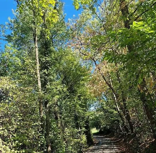 La Colonie *